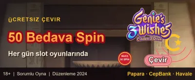 Sıcak Slotlar Bedava Spin promotion